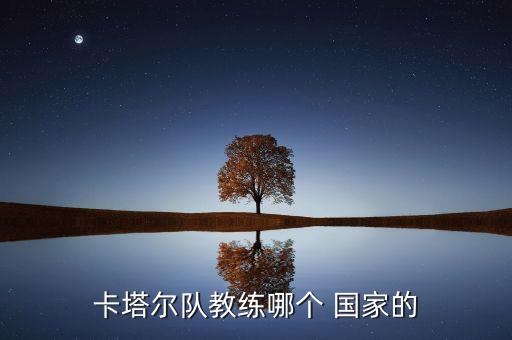 卡塔爾隊教練哪個 國家的