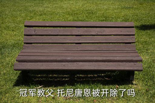 冠軍教父 托尼唐恩被開(kāi)除了嗎