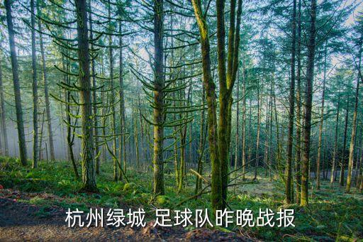 杭州綠城 足球隊(duì)昨晩戰(zhàn)報(bào)