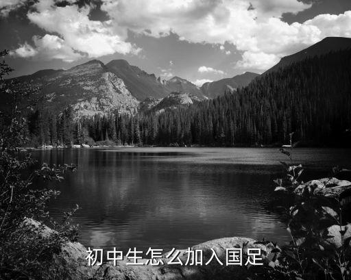 中學(xué)生足球隊員選拔標(biāo)準(zhǔn),足球隊員選拔測試項目