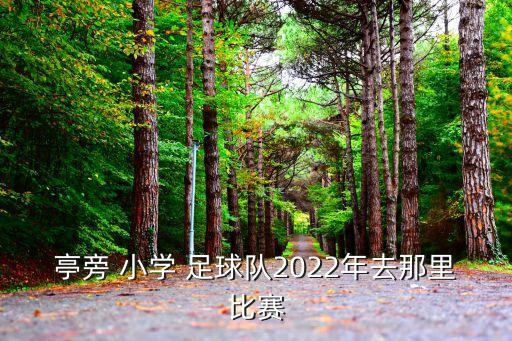 綠城小學(xué)足球隊(duì),綠城足球隊(duì)總經(jīng)理是誰(shuí)