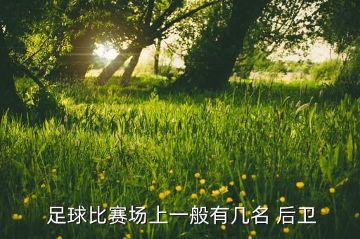  足球比賽場上一般有幾名 后衛(wèi)