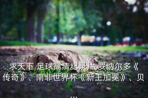 求天下 足球高清紀(jì)錄片,羅納爾多《傳奇》、南非世界杯《新王加冕》、貝...