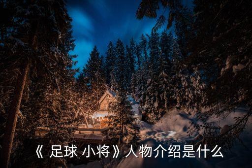 足球小將日本隊(duì)陣容