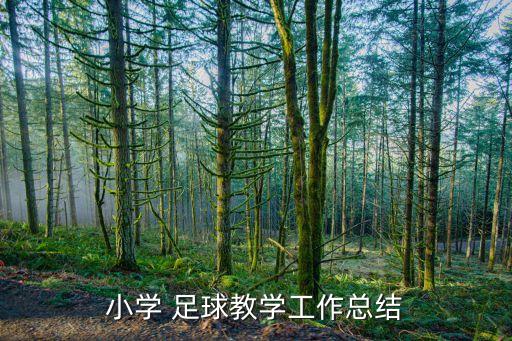 小學(xué) 足球教學(xué)工作總結(jié)