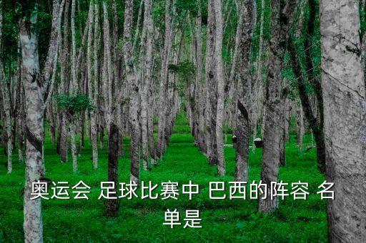 巴西足球 國家隊名單,巴西男子足球國家隊