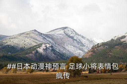 少年足球技術(shù)圖片圖集