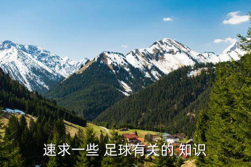 速求一些 足球有關(guān)的 知識