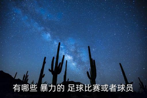 上海足球暴力事件,足球暴力事件集錦視頻