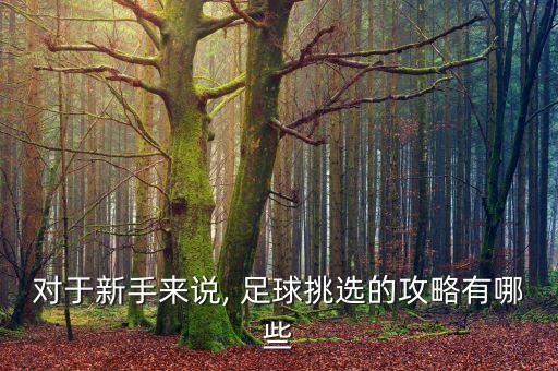 對(duì)于新手來(lái)說(shuō), 足球挑選的攻略有哪些