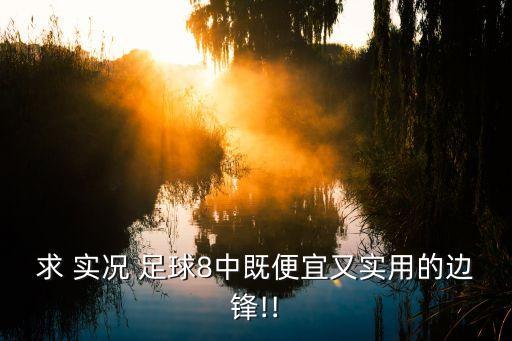 求 實(shí)況 足球8中既便宜又實(shí)用的邊鋒!!