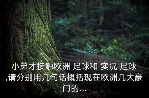 小弟才接觸歐洲 足球和 實(shí)況 足球,請(qǐng)分別用幾句話概括現(xiàn)在歐洲幾大豪門的...