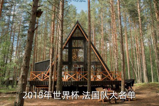 2018年世界杯 法國隊大名單