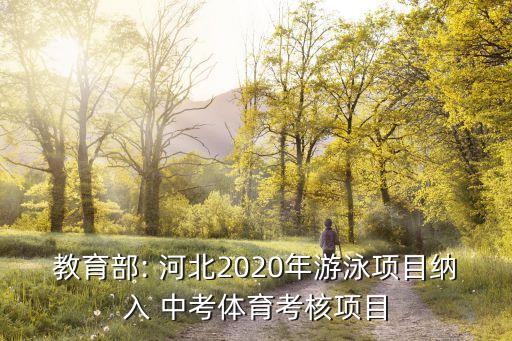 教育部: 河北2020年游泳項目納入 中考體育考核項目