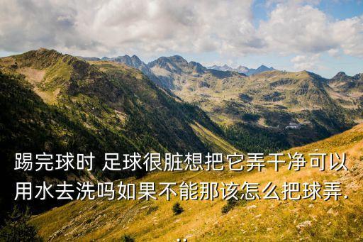 踢完球時(shí) 足球很臟想把它弄干凈可以用水去洗嗎如果不能那該怎么把球弄...