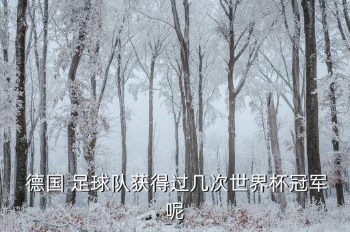 德國(guó)足球國(guó)家隊(duì)比賽安排,主角進(jìn)德國(guó)國(guó)家隊(duì)的足球小說(shuō)