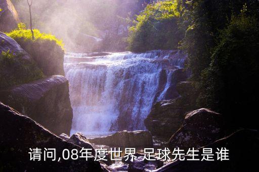 請(qǐng)問,08年度世界 足球先生是誰(shuí)