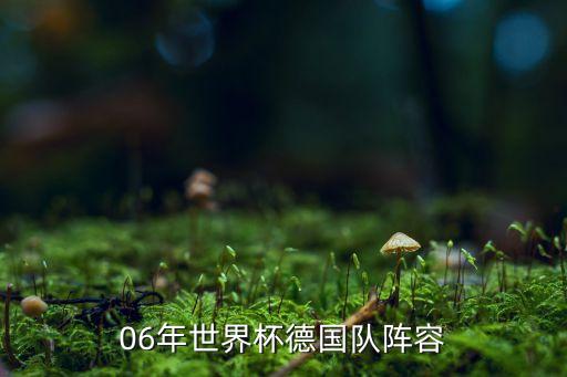 06年世界杯德國(guó)隊(duì)陣容