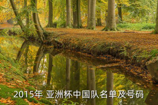 2015年 亞洲杯中國隊(duì)名單及號(hào)碼