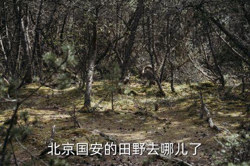 北京國安的田野去哪兒了
