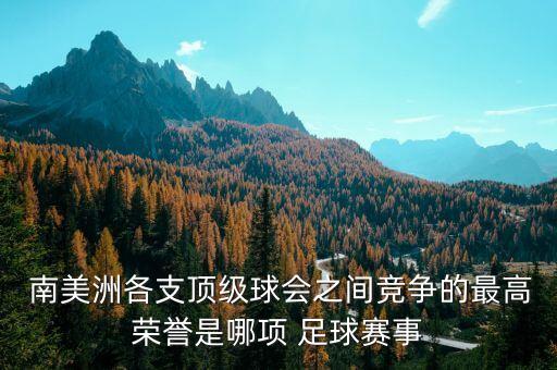  南美洲各支頂級球會之間競爭的最高榮譽(yù)是哪項 足球賽事