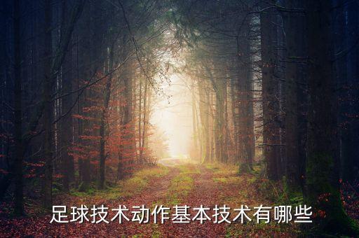  足球技術(shù)動作基本技術(shù)有哪些