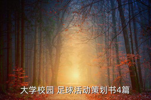 大學校園 足球活動策劃書4篇