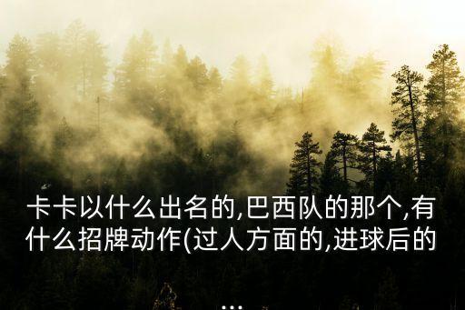 卡卡以什么出名的,巴西隊的那個,有什么招牌動作(過人方面的,進球后的...