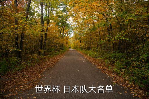 世界杯 日本隊(duì)大名單