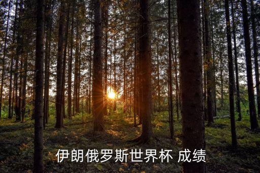 伊朗足球最好成績(jī),哥斯達(dá)黎加足球世界杯最好成績(jī)