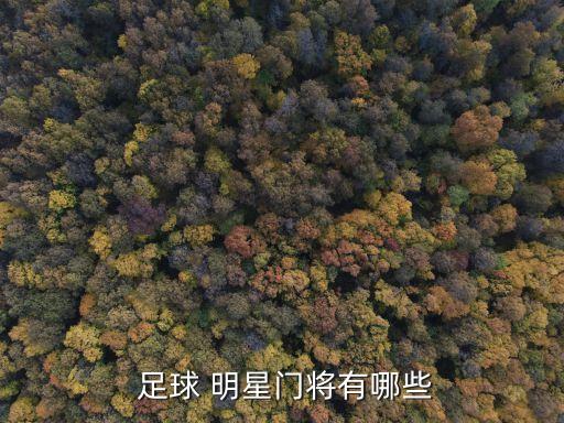  足球 明星門將有哪些