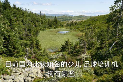 目前國內比較知名的少兒 足球培訓機構有哪些