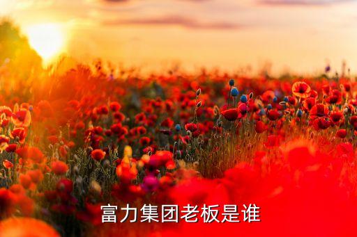 富力足球俱樂部收入,廣州富力足球俱樂部有限公司
