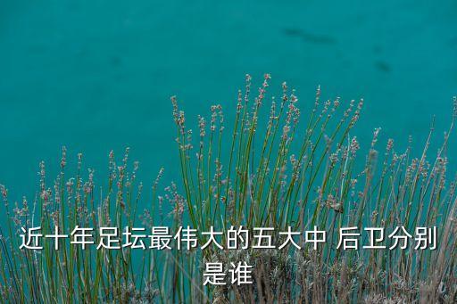 近十年足壇最偉大的五大中 后衛(wèi)分別是誰