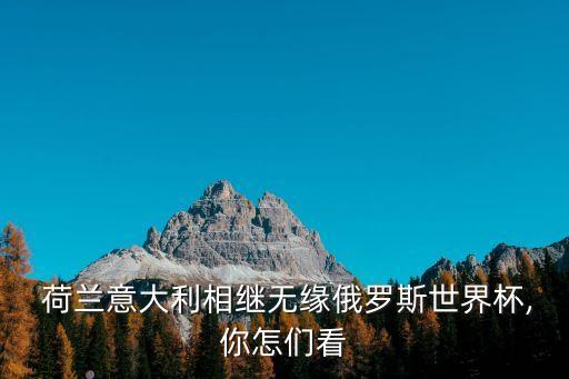 荷蘭足球世預賽還能出現(xiàn)么