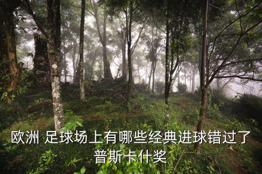 歐洲 足球場上有哪些經典進球錯過了普斯卡什獎