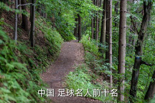 中國(guó) 足球名人前十名