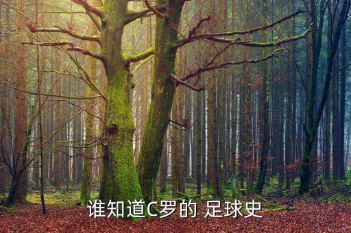 誰(shuí)知道C羅的 足球史