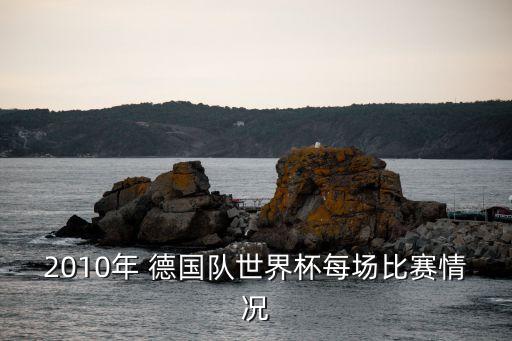 2010年 德國(guó)隊(duì)世界杯每場(chǎng)比賽情況