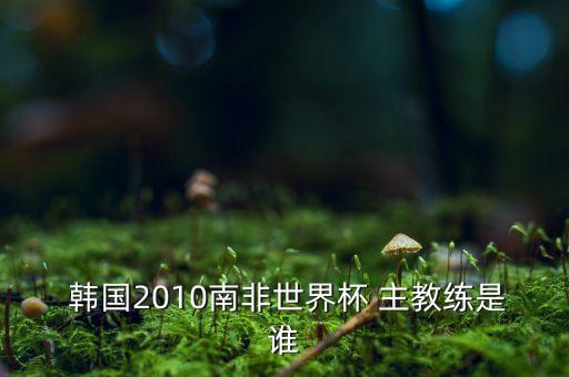  韓國2010南非世界杯 主教練是誰