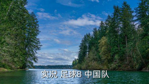  實(shí)況 足球8 中國(guó)隊(duì)