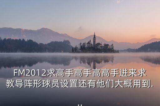 FM2012求高手高手高高手進(jìn)來求教導(dǎo)陣形球員設(shè)置還有他們大概用到...