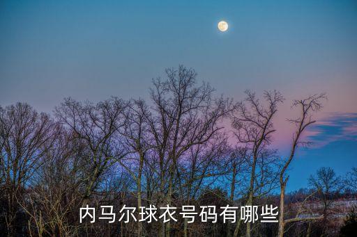 內(nèi)馬爾球衣號(hào)碼有哪些