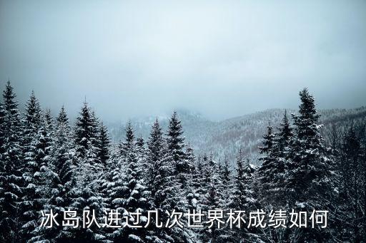  冰島隊(duì)進(jìn)過幾次世界杯成績(jī)?nèi)绾? class=