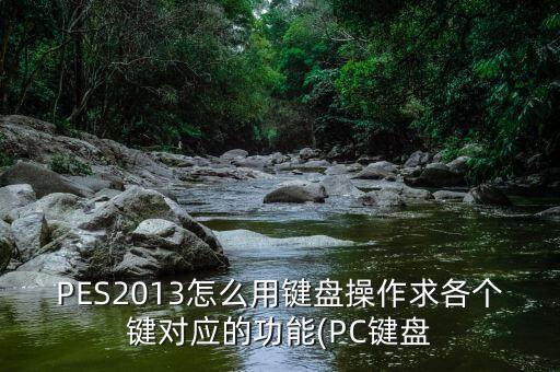 PES2013怎么用鍵盤操作求各個(gè)鍵對應(yīng)的功能(PC鍵盤