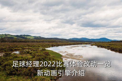  足球經(jīng)理2022比賽體驗(yàn)改動(dòng)一覽新動(dòng)畫引擎介紹
