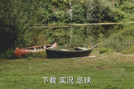 下載 實(shí)況 足球