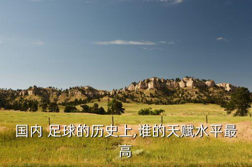 中國足球運動員-曹?S定簡介