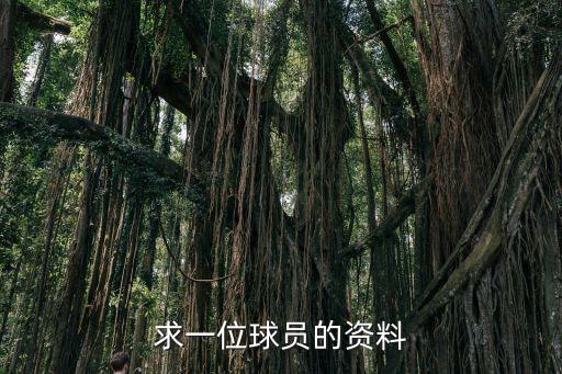 荷蘭足球23號,阿根廷和荷蘭足球誰強