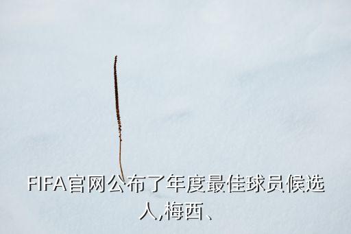 FIFA官網(wǎng)公布了年度最佳球員候選人,梅西、